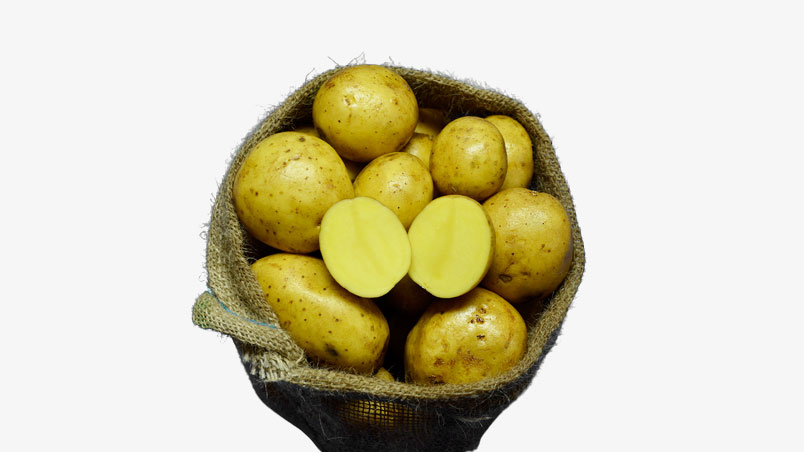 Hofladen Reier Plau am See – Speisekartoffeln – Lucilla