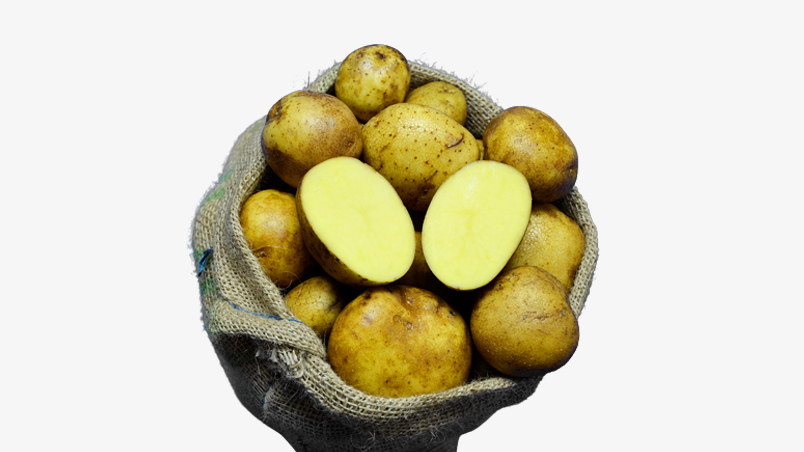 Hofladen Reier Plau am See – Speisekartoffeln – Adretta