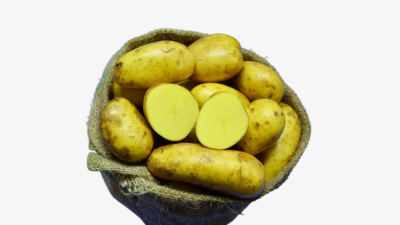 Hofladen Reier Plau am See – Speisekartoffeln – Allians