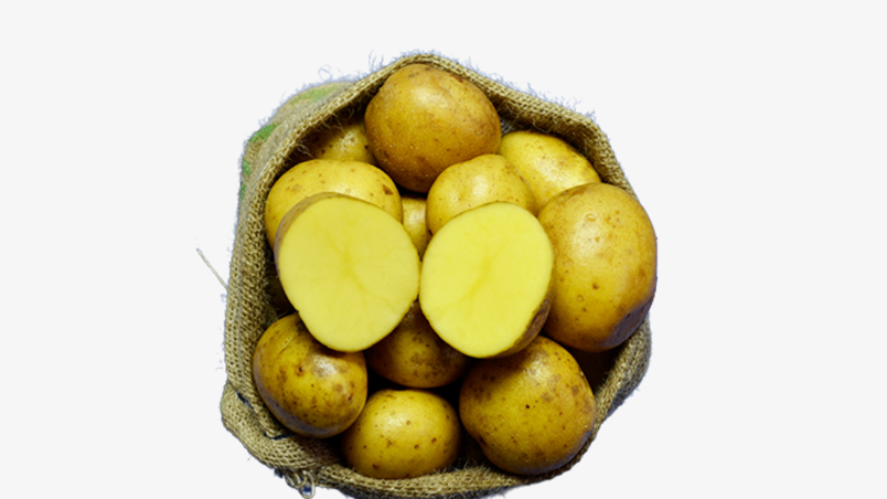 Hofladen Reier Plau am See – Speisekartoffeln – Aromata
