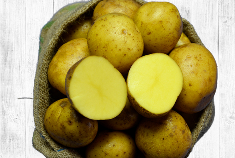Hofladen Reier Plau am See – Speisekartoffeln – Aromata