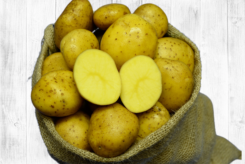 Hofladen Reier Plau am See – Speisekartoffeln – Belana