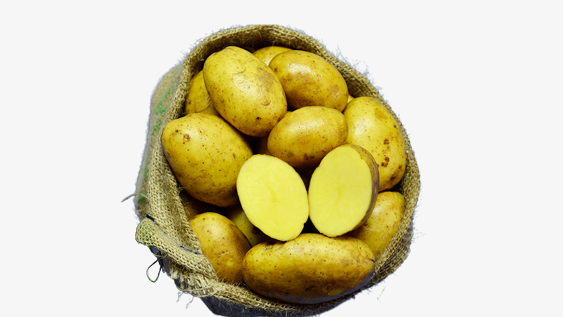 Hofladen Reier Plau am See – Speisekartoffeln – Goldmarie