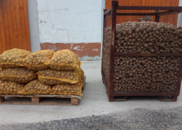 Hofladen Reier, Saftfuttermittel Futterkartoffeln